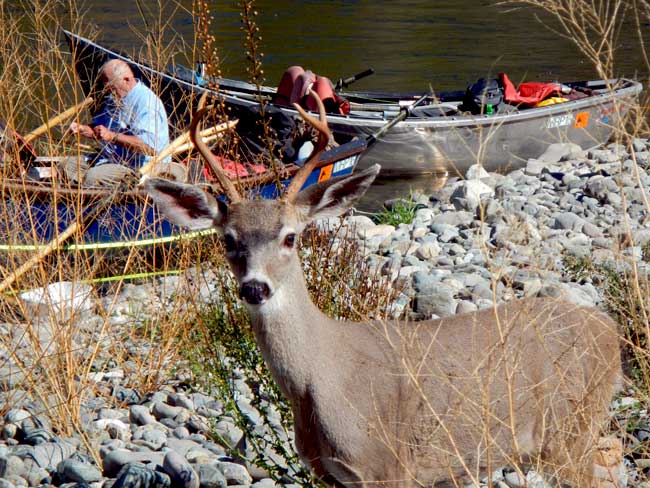 Jeff Helfrich Fly Fishing Trips Rogue River Oregon